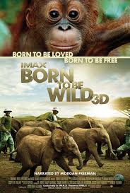 Born To Be Wild online divx