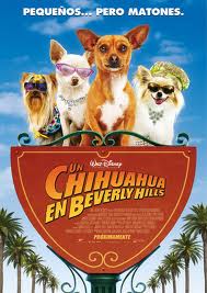 Un Chihuahua En Beverly Hills online divx